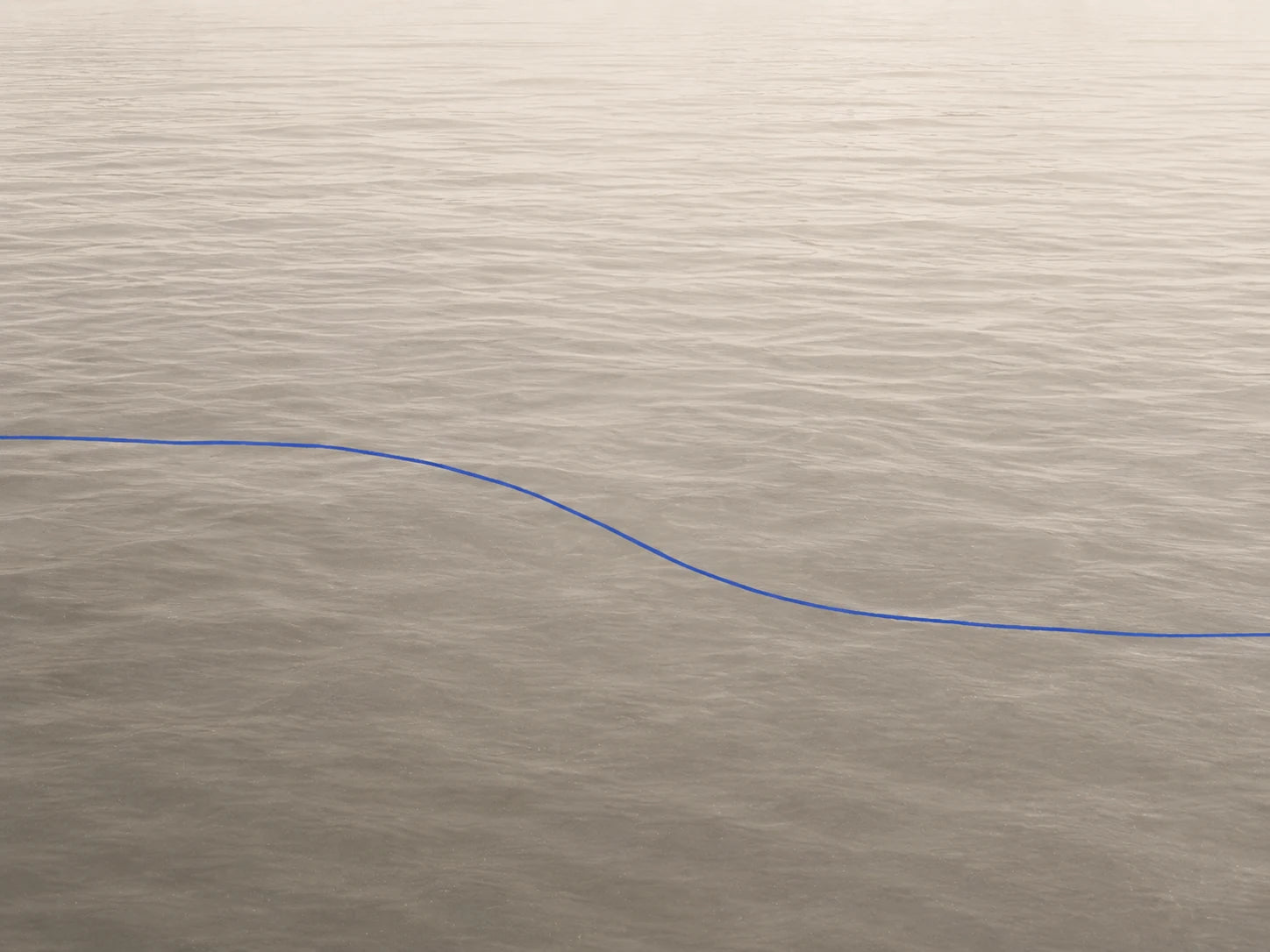 Quiet pale water crossed by one cobalt line after the product has disappeared.